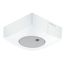 Steinel Licht Sensor Dual LiveLink thumbnail 1