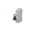 MD99 thumbnail 3
