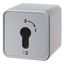 2-pole changeover switch for key cylinder, surface-mounted, cast IP44 thumbnail 1