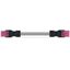 pre-assembled interconnecting cable Eca Socket/plug pink thumbnail 1
