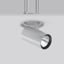 DEECOS R, 29 W, 3400 lm, 927, silver, on/off Recessed projectors, D 14 thumbnail 1