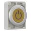 M30C-FDL-Y-X162 Illuminated pushbutton actuator, RMQ-Titan, Flat, momentary, yellow, inscribed, Metal bezel thumbnail 8