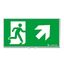 PURESIGN 150 MSW/MRW SP1-E002-UPR ERI SR - Escape sign thumbnail 1