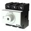 P3 Main switch, 80 A,Rear mounting, 3 pole, Form X, Other, Other thumbnail 2