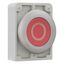 M30C-FD-R-X0 Pushbutton, RMQ-Titan, Flat, momentary, red, inscribed, Metal bezel thumbnail 13