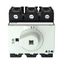P3 Main switch, 80 A,Rear mounting, 3 pole, Form X, Other, Other thumbnail 6