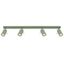Ceiling lamp RING 4L sage thumbnail 2
