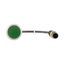 C22-D-G-K10-P3 Pushbutton, Flat, momentary, 1 N/O, Cable (black) with M12A plug, 4 pole, 0.5 m, green, Blank, Bezel: titanium thumbnail 13