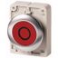 M30I-FDR-R-X0 Pushbutton, RMQ-Titan, flat, maintained, red, inscribed, Front ring stainless steel thumbnail 1
