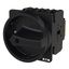 P3 Main switch, 80 A,Flush mounting, 3 pole, Form EA/SVB, Black, Door  thumbnail 6
