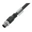 Sensor-actuator Cable, M12, Number of poles: 12, 30 m, pin, straight,  thumbnail 2