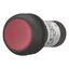 Illuminated pushbutton actuator, Flat, momentary, 1 NC, Screw connection, LED Red, red, Blank, 120 V AC, Bezel: black thumbnail 8