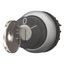 M22-WRS-MS10-A1 Key-operated actuator, maintained, 2 positions, MS10, Key withdrawable: 0, Bezel: titanium thumbnail 2