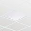 CoreLine Panel G6, All-in, 31 W, 22 W, 625x625 mm, VPC, 2900 lm, 3100 lm, 3350 lm, 3600 lm, 4000 lm, 4300 lm, 3000 K, 3500 K, 4000 K, DALI thumbnail 5