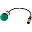 C22-L-G-24-P5 Indicator light, Flat, Cable (black) with M12A plug, 4 pole, 1 m, Lens green, LED green, 24 V AC/DC thumbnail 1