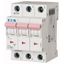 PL6-D1,6/3 Small circuit breaker, 6kA 3p (instead of 177435) thumbnail 1