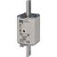 NH1/WT-1 gF 25A/500V thumbnail 2