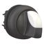 M22S-WRK Changeover switch, RMQ-Titan, With thumb-grip, maintained, 2 positions, Bezel: black thumbnail 14