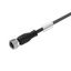 Sensor/actuator line, One end without connector, M12, Number of poles : 12, 5 m, Socket, angled, Shielded: Yes, LED: No, Sheath material: PUR, Halogen: No thumbnail 3