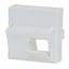 Centralplate for 2 modules (SFA)(SFB),45x45mm,angled,RAL9010 thumbnail 1