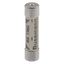 Fuse-link, Overcurrent NON SMD, 5 A, AC 240 V, BS1362 plug fuse, 6.3 x 25 mm, gL/gG, BS thumbnail 13