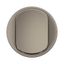 ROCKER FOR INTERMEDIATE SWITCH TITANIUM thumbnail 4