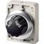 M30I-FWR-X91 Changeover switch, RMQ-Titan, with rotary head, maintained, 2 positions, inscribed, Front ring stainless steel, AUTO HAND thumbnail 4