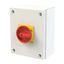 P3 Main switch, 80 A,Surface mounting, 3 pole, Form SE, Red, Door coup thumbnail 5