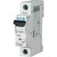 PL6-D25/1 Miniature circuit breaker (MCB), 25 A, 1p, characteristic: D thumbnail 2