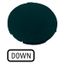 M22-XD-S-GB4 Button plate, flat black, DOWN thumbnail 1