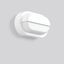 Alu-Lux oval, 12 W, 330 lm, 840, white, on/off Wall luminaires, L 258  thumbnail 2