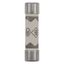 Fuse-link, Overcurrent NON SMD, 5 A, AC 240 V, BS1362 plug fuse, 6.3 x 25 mm, gL/gG, BS thumbnail 20