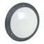 ALLURE 2000LM 4000K  AV HF DETECTION BLACK thumbnail 2