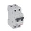 MCB RX3 2P B25 6000A thumbnail 2