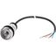 C22-DR-X-K02-P65 Pushbutton, classic, flat, maintained, 2 N/C, cable (black) with non-terminated end, 4 pole, 3.5 m thumbnail 4
