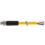 M12 Power male 0° L-cod. with cable PUR 5x1.5 ye UL/CSA+drag ch. 1m thumbnail 2