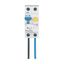 RCD/MCB combination switch 6kA 1P+N 20A B-kar 300mA FLEX aside thumbnail 2