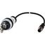 C22-WS-MS1-K10-P1 Key-operated actuator, RMQ compact solution, momentary, 1 N/O, Cable (black) with M12A plug, 4 pole, 0.2 m, 2 positions, MS1, Bezel: titanium thumbnail 5