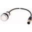 C22-D-W-K10-P3 Pushbutton, Flat, momentary, 1 N/O, Cable (black) with M12A plug, 4 pole, 0.5 m, White, Blank, Bezel: titanium thumbnail 1