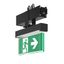 LINEDO, black, on/off Continuous line luminaire, L 336 B 62 H 308, CBS thumbnail 1