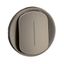 ROCKER LUMINOUS INTERMEDIATE SWITCH TITANIUM thumbnail 1