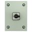 On-Off switch, P1, 40 A, 3 pole, surface mounting, with black thumb grip and front plate, in steel enclosure thumbnail 12