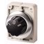 M30I-FW3 Changeover switch, RMQ-Titan, with rotary head, momentary, 3 positions, inscribed, Front ring stainless steel thumbnail 1