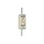 Fuse-link NH1 gG 500VAC 80A live tags Double indicator thumbnail 1