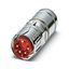SB-8EPSD8A8L33S - Cable connector thumbnail 2