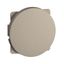 BLANKING PLATE TITANIUM thumbnail 4