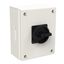 P3 Main switch, 80 A,Surface mounting, 3 pole, Form SE, Black, Door co thumbnail 4