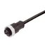 Sensor/actuator line, One end without connector, 7/8", Number of poles : 4 (3 + PE), 2 m, Female socket, straight, Shielded: No, LED: No, Sheath material: PUR, Halogen: No thumbnail 2