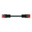 pre-assembled interconnecting cable Cca Socket/plug red thumbnail 1