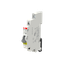MD99 thumbnail 3